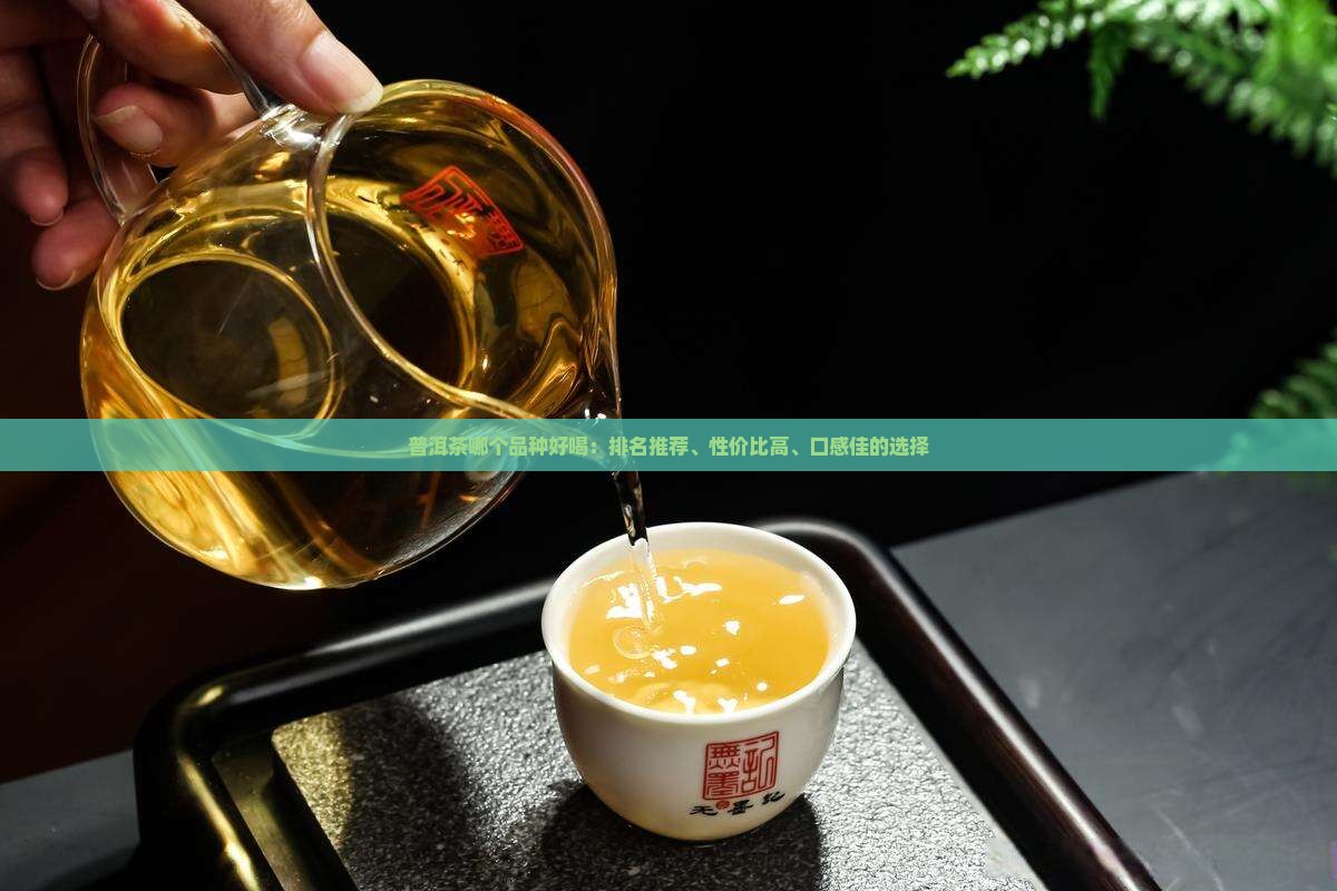 普洱茶哪个品种好喝：排名推荐、性价比高、口感佳的选择