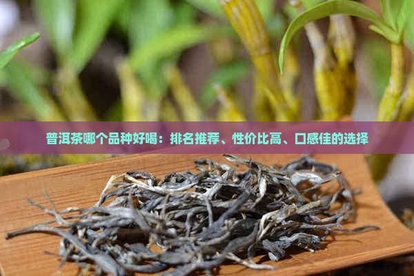 普洱茶哪个品种好喝：排名推荐、性价比高、口感佳的选择