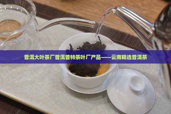 普洱大叶茶厂普洱普特茶叶厂产品——云南精选普洱茶