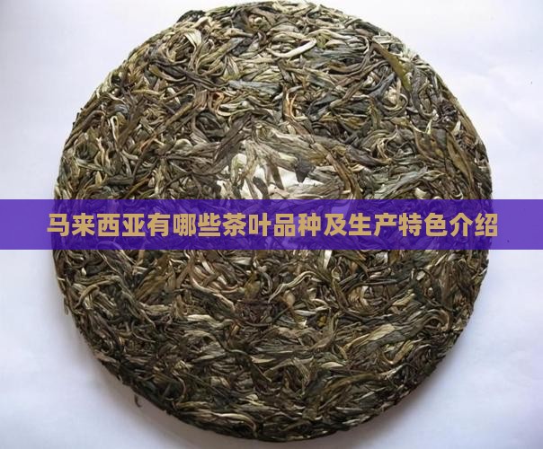 马来西亚有哪些茶叶品种及生产特色介绍