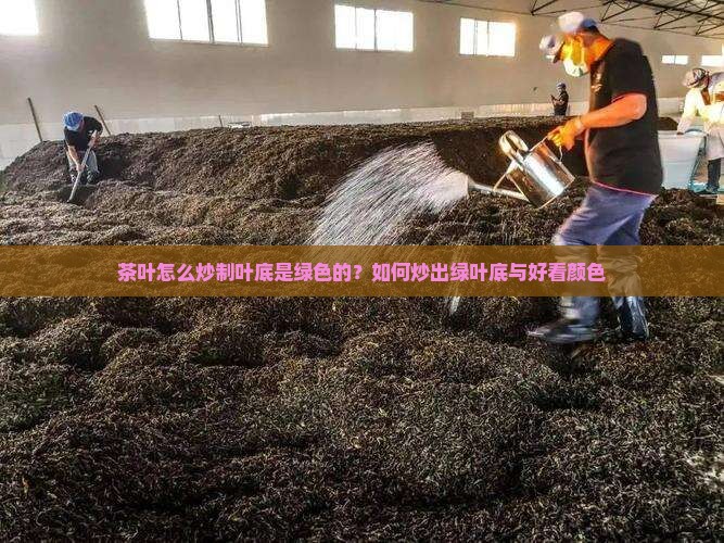 茶叶怎么炒制叶底是绿色的？如何炒出绿叶底与好看颜色