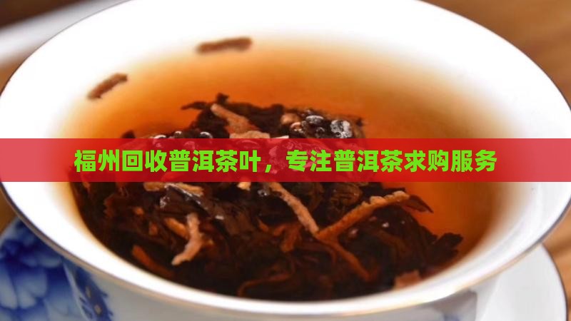 福州回收普洱茶叶，专注普洱茶求购服务
