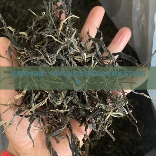 探索雨林秘境：特色孔雀图案普洱茶全面解析与品鉴指南