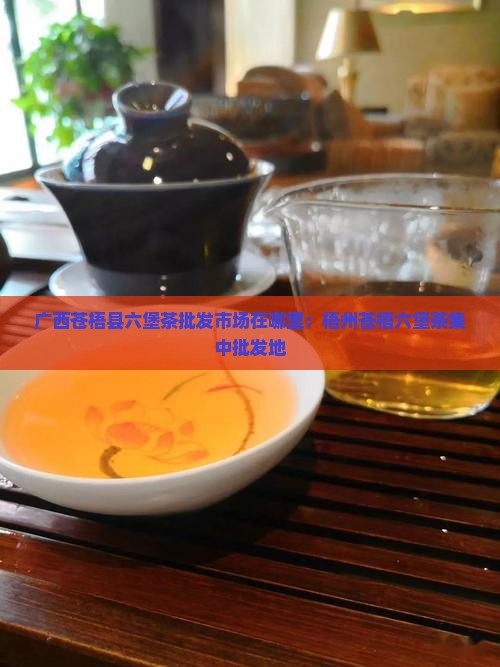 广西苍梧县六堡茶批发市场在哪里：梧州苍梧六堡茶集中批发地