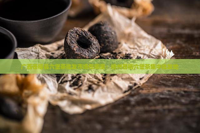广西苍梧县六堡茶批发市场在哪里：梧州苍梧六堡茶集中批发地