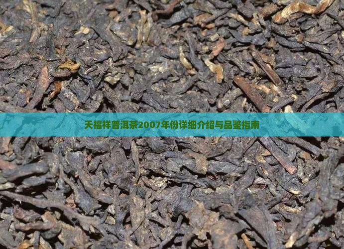 天福祥普洱茶2007年份详细介绍与品鉴指南
