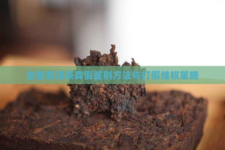 全面普洱茶真假鉴别方法与打假维权策略