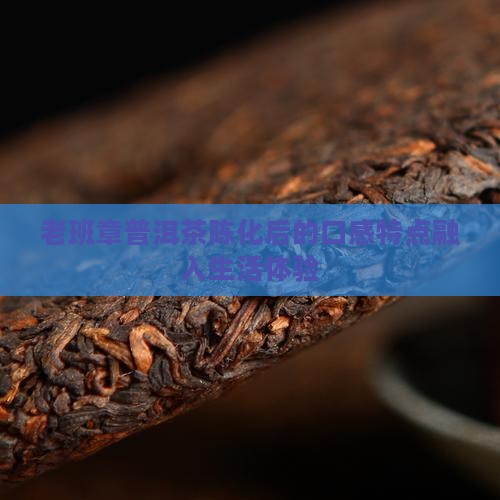 老班章普洱茶陈化后的口感特点融入生活体验