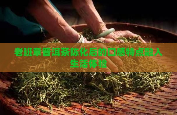 老班章普洱茶陈化后的口感特点融入生活体验