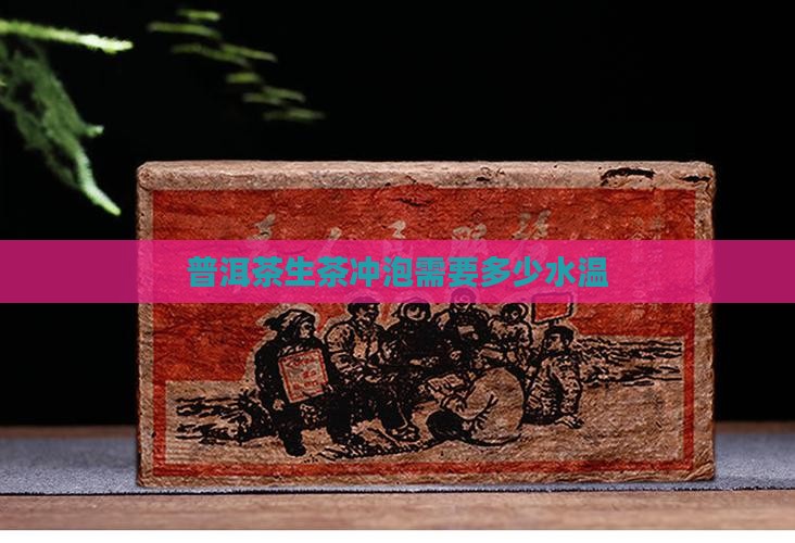 普洱茶生茶冲泡需要多少水温