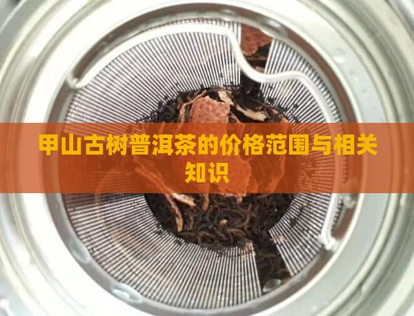 甲山古树普洱茶的价格范围与相关知识