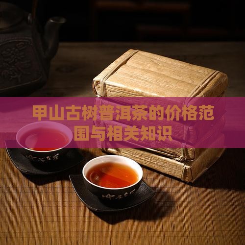 甲山古树普洱茶的价格范围与相关知识