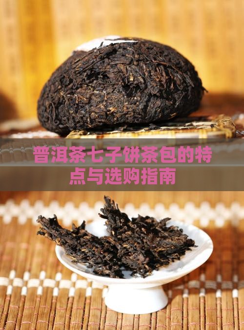 普洱茶七子饼茶包的特点与选购指南