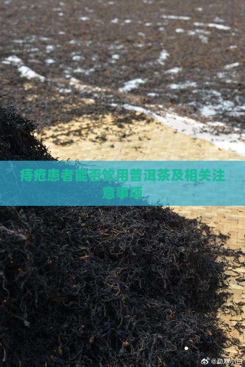 痔疮患者能否饮用普洱茶及相关注意事项