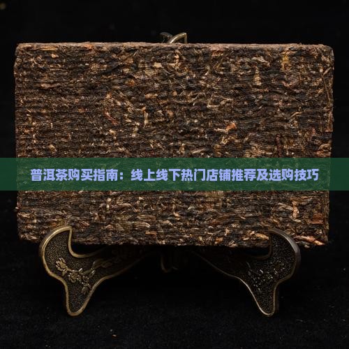 普洱茶购买指南：线上线下热门店铺推荐及选购技巧