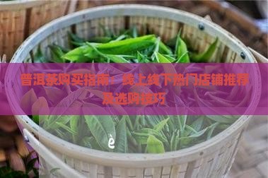 普洱茶购买指南：线上线下热门店铺推荐及选购技巧