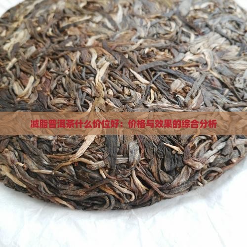 减脂普洱茶什么价位好：价格与效果的综合分析