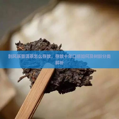 刮风寨普洱茶怎么存放，存放十年口感如何及树龄分类解析
