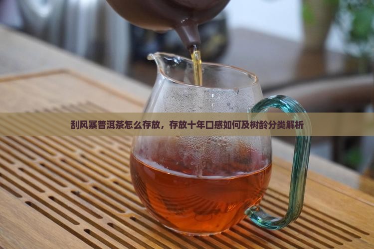 刮风寨普洱茶怎么存放，存放十年口感如何及树龄分类解析