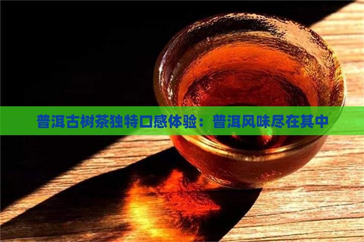 普洱古树茶独特口感体验：普洱风味尽在其中