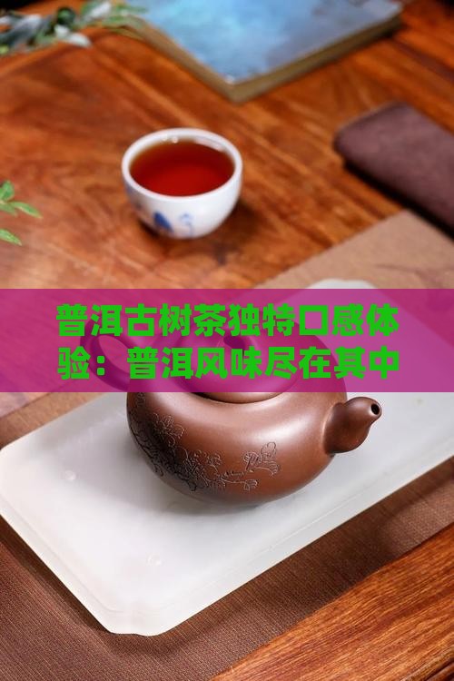 普洱古树茶独特口感体验：普洱风味尽在其中