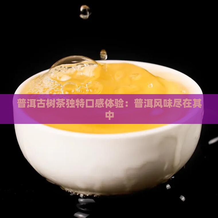 普洱古树茶独特口感体验：普洱风味尽在其中