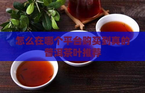 怎么在哪个平台购买到真的普洱茶叶推荐