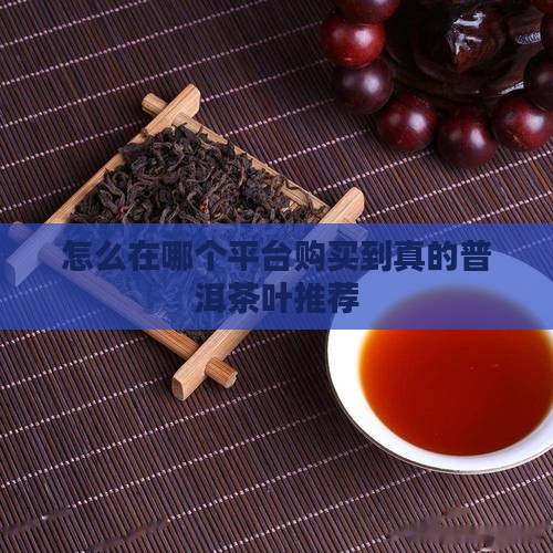 怎么在哪个平台购买到真的普洱茶叶推荐