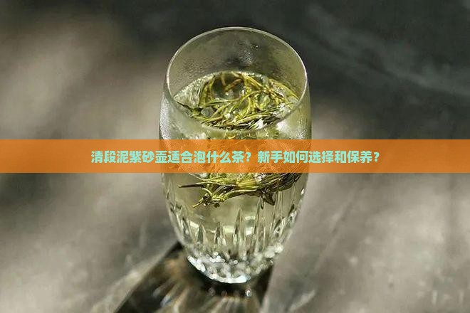 清段泥泡什么茶
