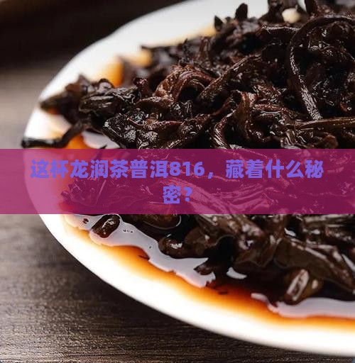 龙润茶普洱茶816