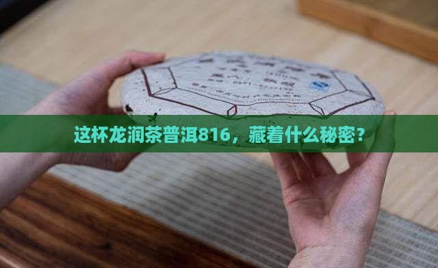 龙润茶普洱茶816