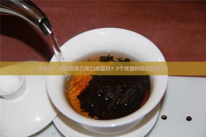 普洱茶买多久的好喝