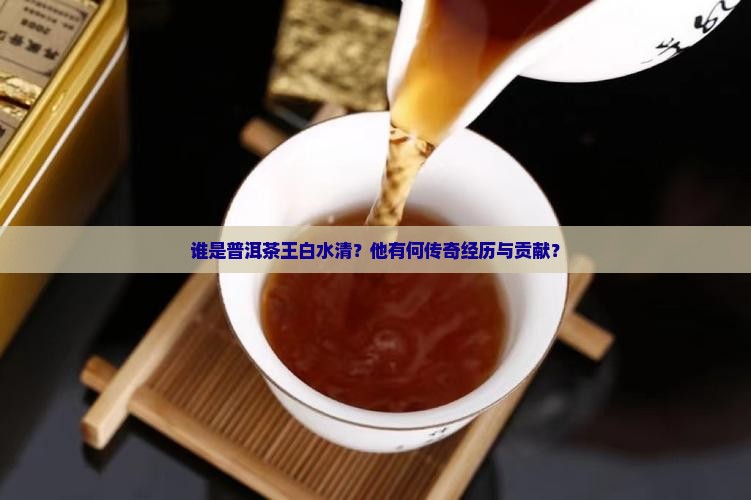 普洱茶王白水清 普洱茶王白水清