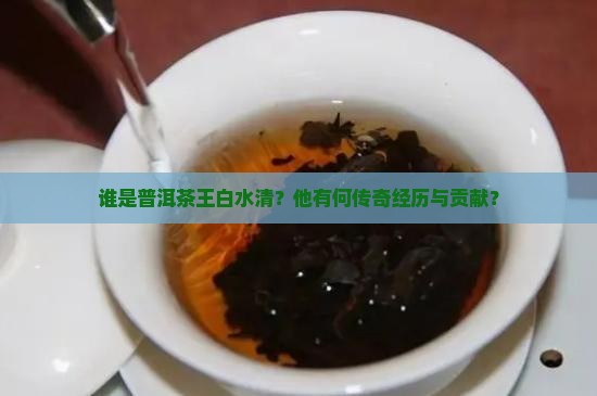 普洱茶王白水清 普洱茶王白水清