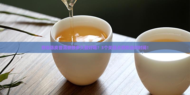 新会陈皮普洱茶保质期