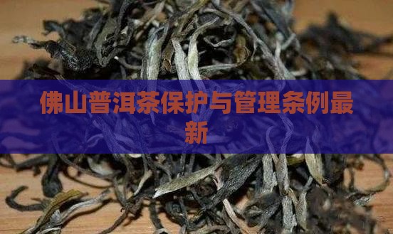 佛山普洱茶管理条例最新 佛山普洱茶管理条例最新