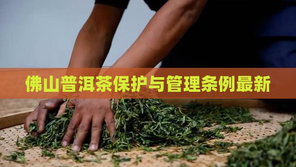 佛山普洱茶管理条例最新 佛山普洱茶管理条例最新