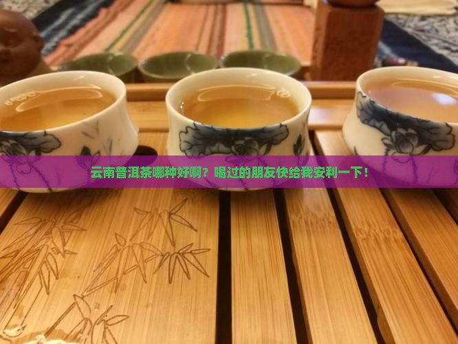 云南普洱茶哪种好好吗