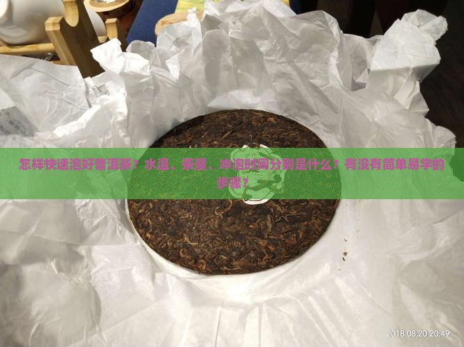 怎样能快速泡好普洱茶