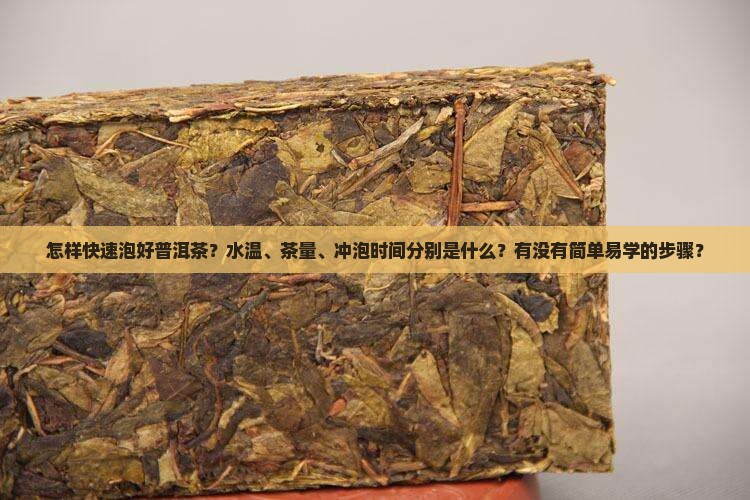 怎样能快速泡好普洱茶