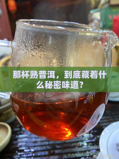 熟普洱茶喝的是什么味道