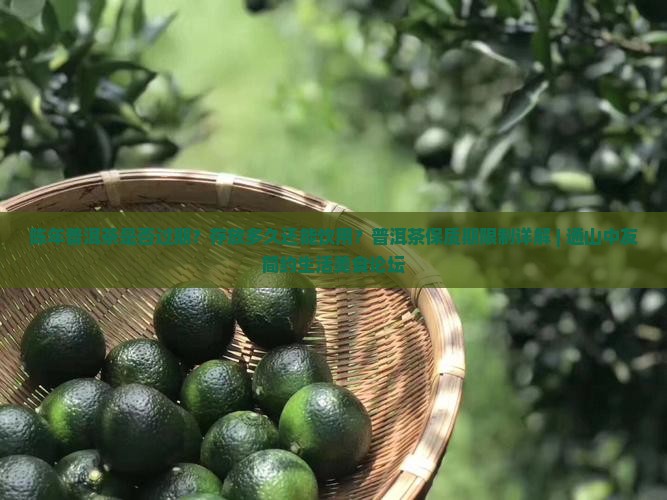 陈年普洱茶是否过期