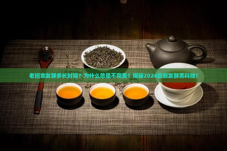 老班章发酵多长时间