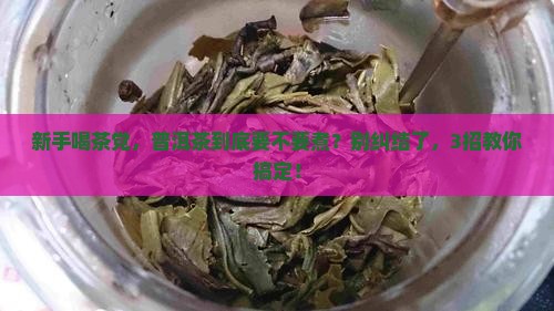 普洱茶要不要煮着喝