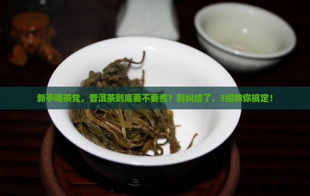 普洱茶要不要煮着喝