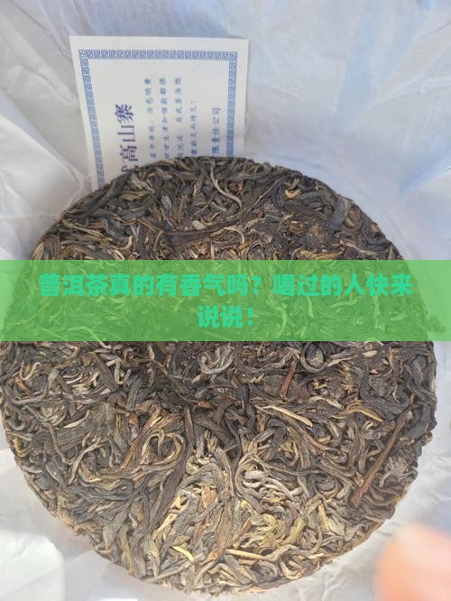 普洱茶有香气吗