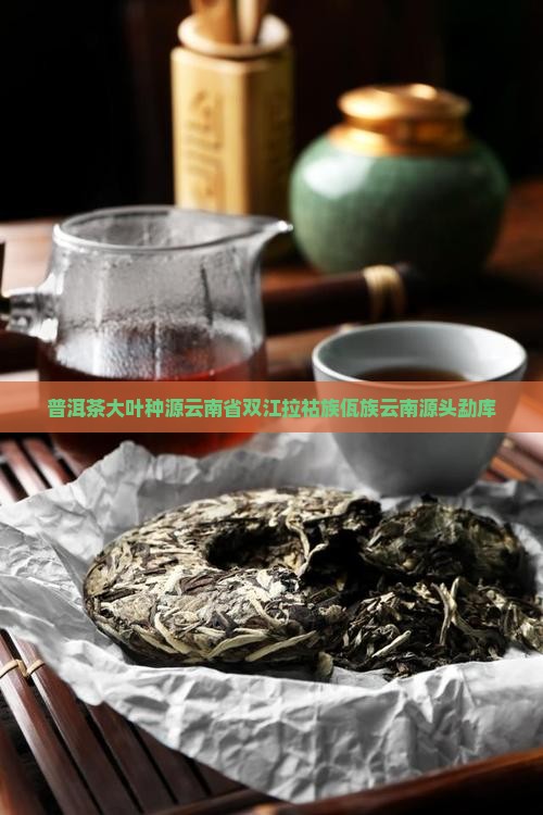 桂坤普洱茶勐库大叶种源头