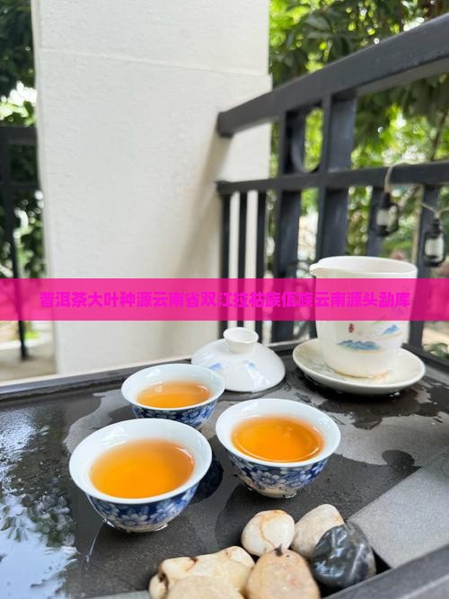 桂坤普洱茶勐库大叶种源头