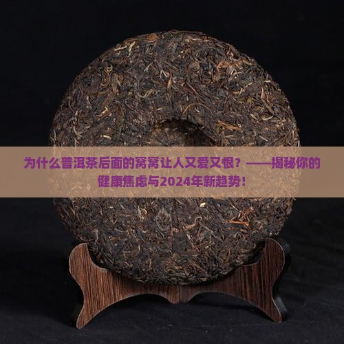 普洱茶后面的窝窝