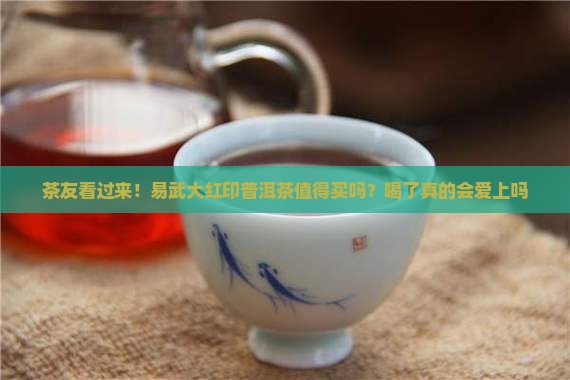 大红印普洱茶易武